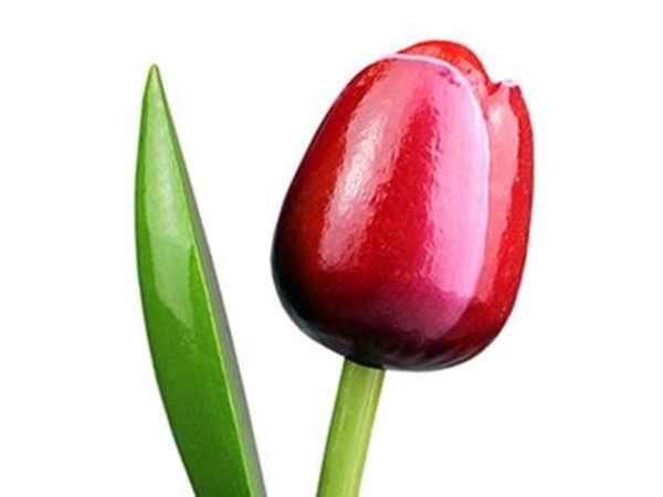 Wooden tulips red and white