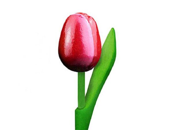 houten tulpen in de kleur rood/wit 20cm