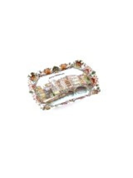 tray color Amsterdam 30 x 15cm