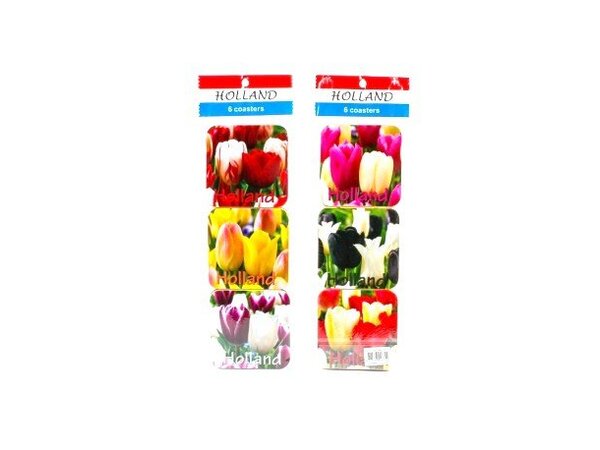 coasters Dutch tulips