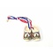  Broche / corsage klompjes gekleurd