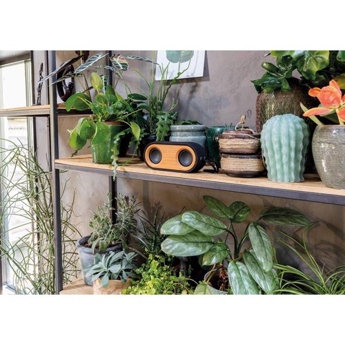 Bamboo X dubbele speaker P328.119