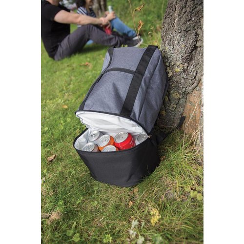 3-in-1 koel rugzak en handtas P422.092