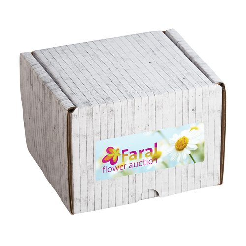 geschenk- / verzendverpakking 1223