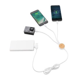 DeBle Ontario gerecyclede 6-in-1 oplaadkabel met logo P302.463