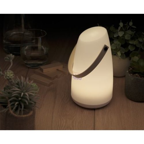 Halo MoodLight sfeerlamp 1349