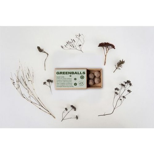 Green Balls mini-ecosysteem W077