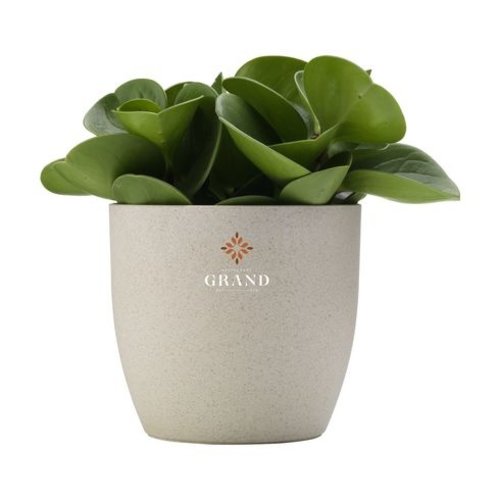 Vibers Flowerpot bloempot W045 Vibers Flowerpot bloempot W045