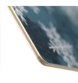 Custom Wood Ice Scraper ijskrabber