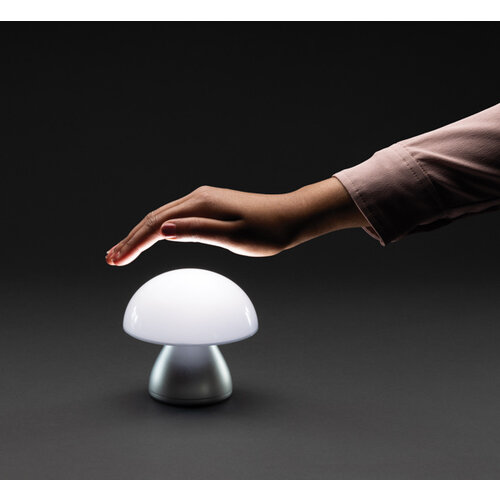 Luming RCS gerecyclede plastic USB-oplaadbare tafellamp P513.749