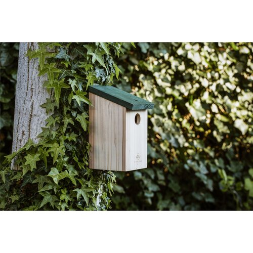Diverse premiums Birdhouse vogelhuisje