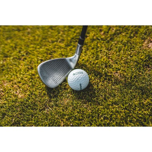 tomorrow golf Single Pack Recycled Golf Balls tomorrow golf Single Pack Recycled Golf Balls