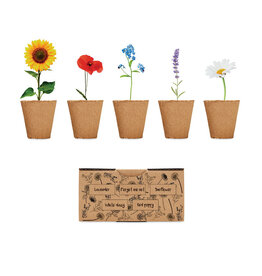 Flowers Bloemen kweekset  (MO6500)