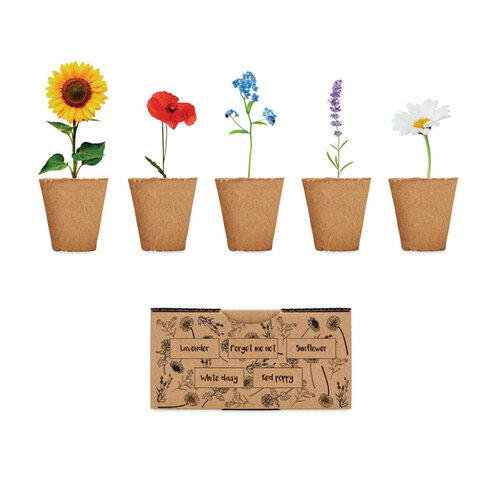 Flowers Bloemen kweekset  (MO6500) met logo