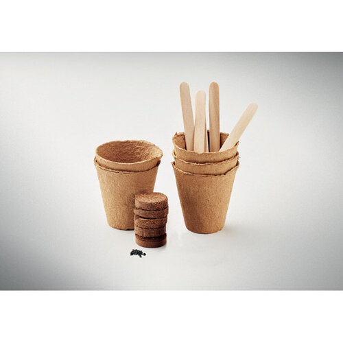 Flowers Bloemen kweekset  (MO6500) met logo