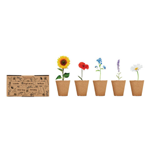 Flowers Bloemen kweekset  (MO6500) met logo