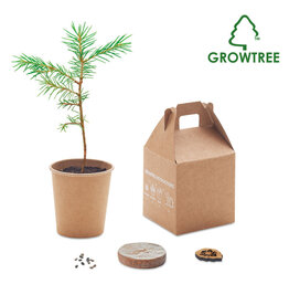 MO6228 Growtree™ Pijnboom set