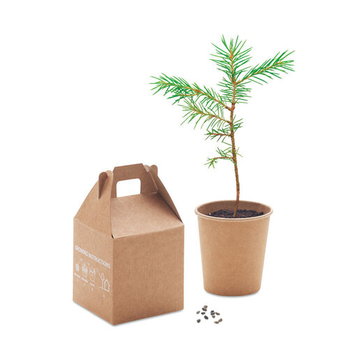 Growtree™ Pijnboom set  (MO6228) met logo
