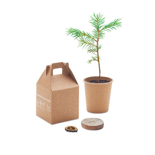 Growtree™ Pijnboom set  (MO6228) met logo