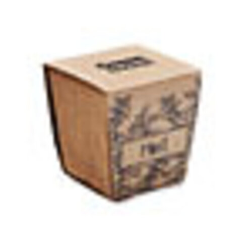 Mint kit Muntzaad kweekset MO2410