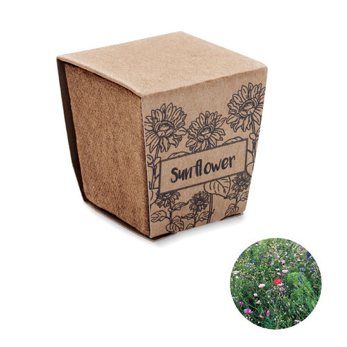 Sunflower kit Zonnebloem kweekset (MO2411) met logo