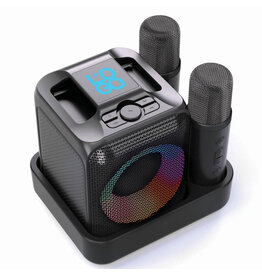 Singvibe karaokeset met 2 microfoons P3310601 met logo bedrukken DeBle