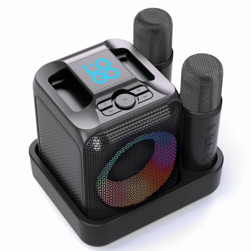 Singvibe karaokeset met 2 microfoons P3310601 met logo bedrukken DeBle