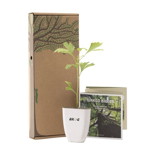Diverse premiums Treemore Brievenbusboompjes Japanse notenboom 1993