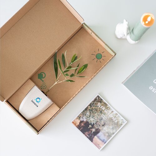 Treemore Brievenbusboompjes Olijfboom 2008 Treemore Brievenbusboompjes Olijfboom 2008