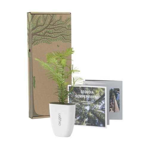 Diverse premiums Treemore Brievenbusboompjes Mammoetboom 2020