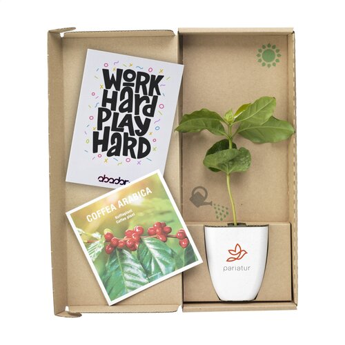 Diverse premiums Treemore Brievenbusboompjes Koffieboom 2013