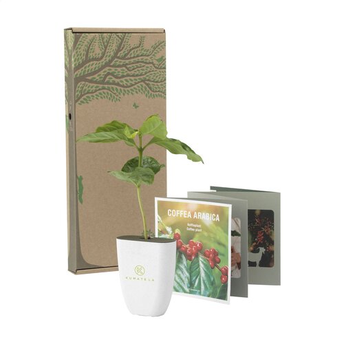 Diverse premiums Treemore Brievenbusboompjes Koffieboom 2013