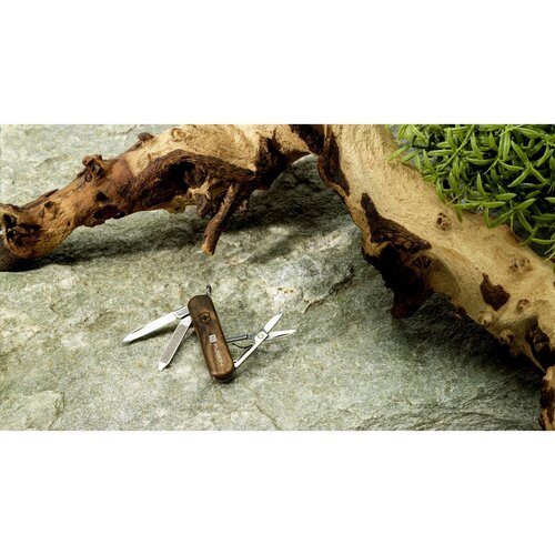 Victorinox Classic SD Wood zakmes – 276940 Victorinox Classic SD Wood zakmes – 276940