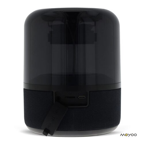 Moyoo Smokey Dome speaker LT40734 met logo bedrukken DeBle