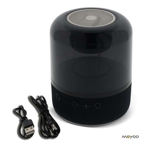 Moyoo Smokey Dome speaker LT40734 met logo bedrukken DeBle