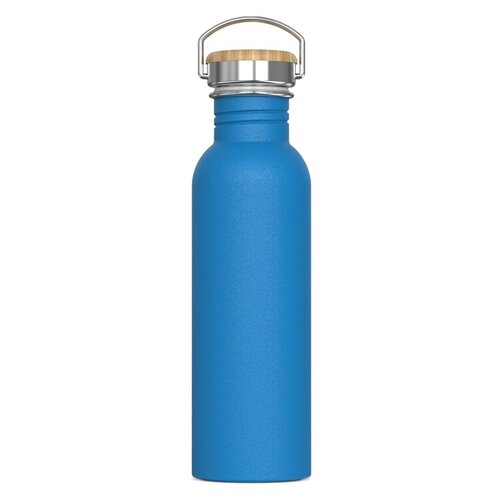 waterfles ashton LT98885 DeBle duurzame roestvrijstalen 750ml drinkfles met matte poedercoating