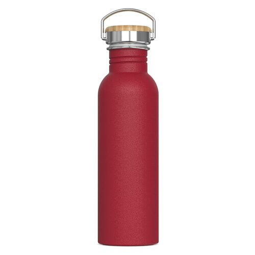 waterfles ashton LT98885 DeBle duurzame roestvrijstalen 750ml drinkfles met matte poedercoating
