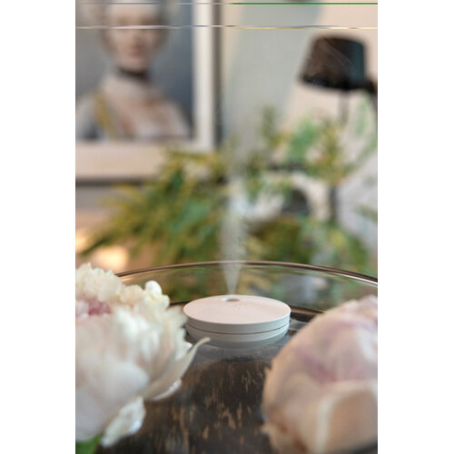 DeBle rcs luchtbevochtiger bedrukt breevia p4570219