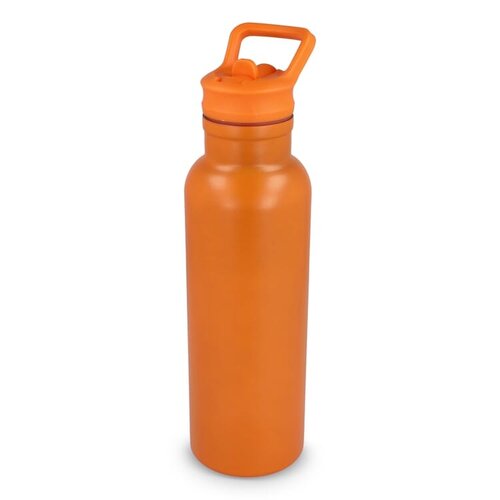 DeBle thermofles met rietje RVS 500 ml bedrukken met logo Darion LT98890