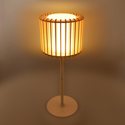 DeBle led lamp hout tall bedrukken met logo Coollux Lamella Luna LT40731