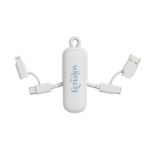 DéBlé Urban Vitamin Dublin 100W 4 -in-1 keychain cable (P302.97) bedrukken met logo