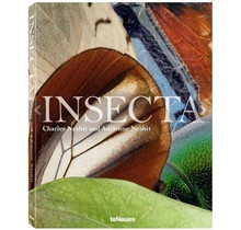 Insecta teNeues