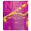 Neo, Classics, René, Staud From Factory to Cult Car in 0 Seconds