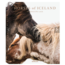 Horses of Iceland	Guadalupe Laiz