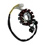 GY6 50cc Stator Euro4/Euro5