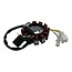 GY6 50cc Stator Euro4/Euro5