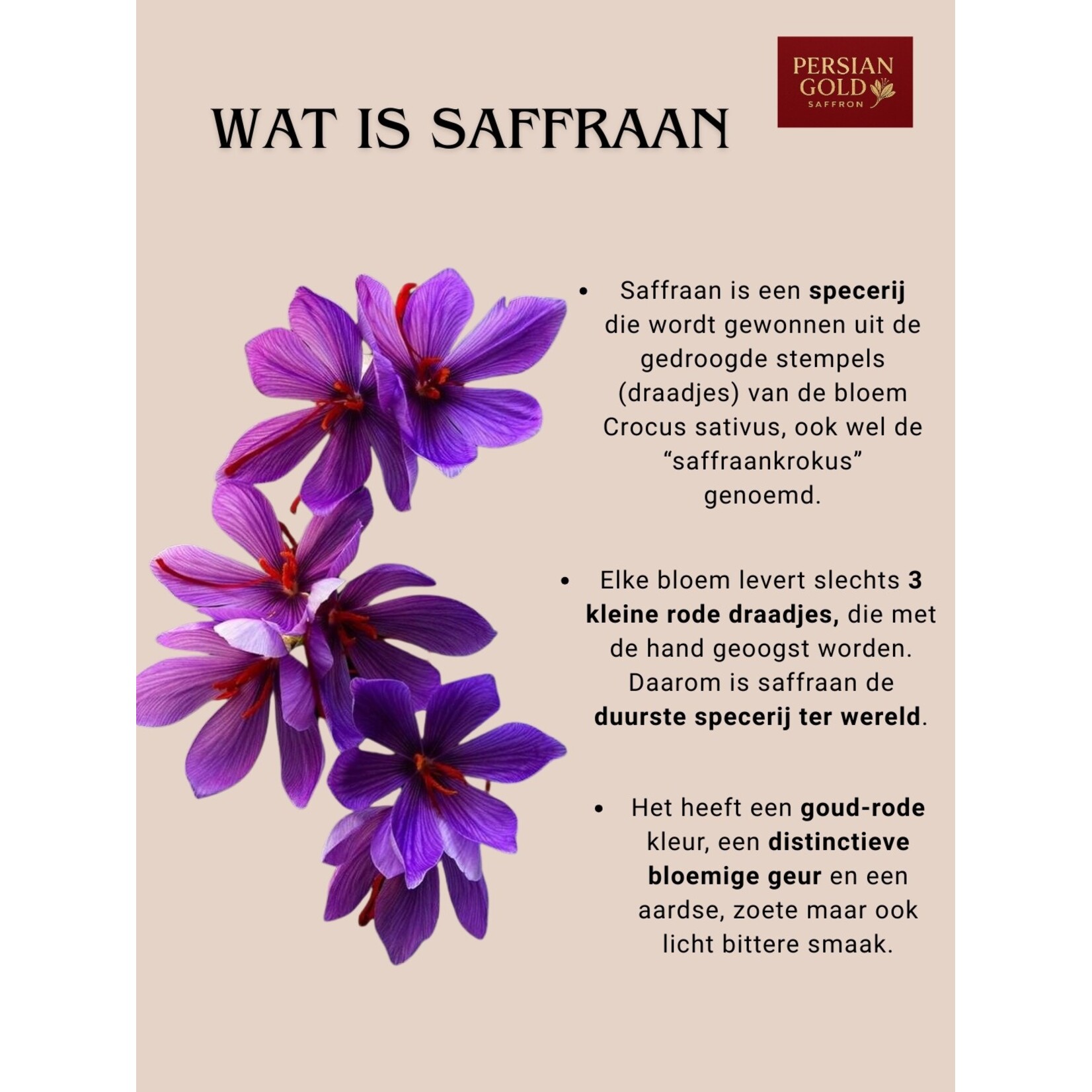 TotaalBeauty, de heerlijkste zepen van Top kwaliteit! Persian Gold Saffraan 2 x 4g + 0,5g Gratis – 100% Pure Premium Iraanse Kwaliteit – Klasse 1 Gecertificeerd – Saffron – Iraanse Saffraan – Beste Saffraan – Pure Natuurzuivere Saffraan – Krokus Specerij