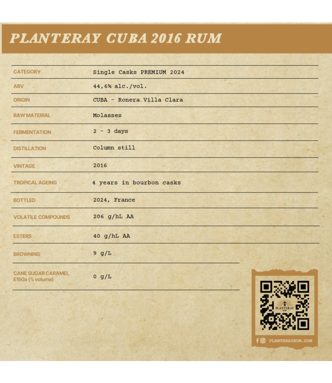 Planteray S.C. 2024 - 2016 Multi Oak