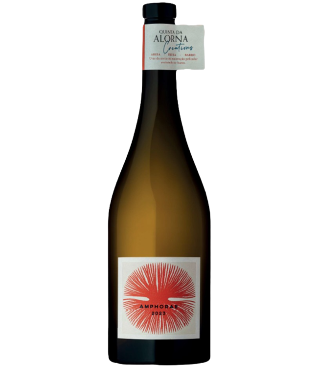 Quinta da Alorna Amphorae Creations 2023 (12,5%)