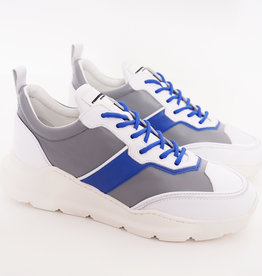 Runner Lowtop Grey Blue